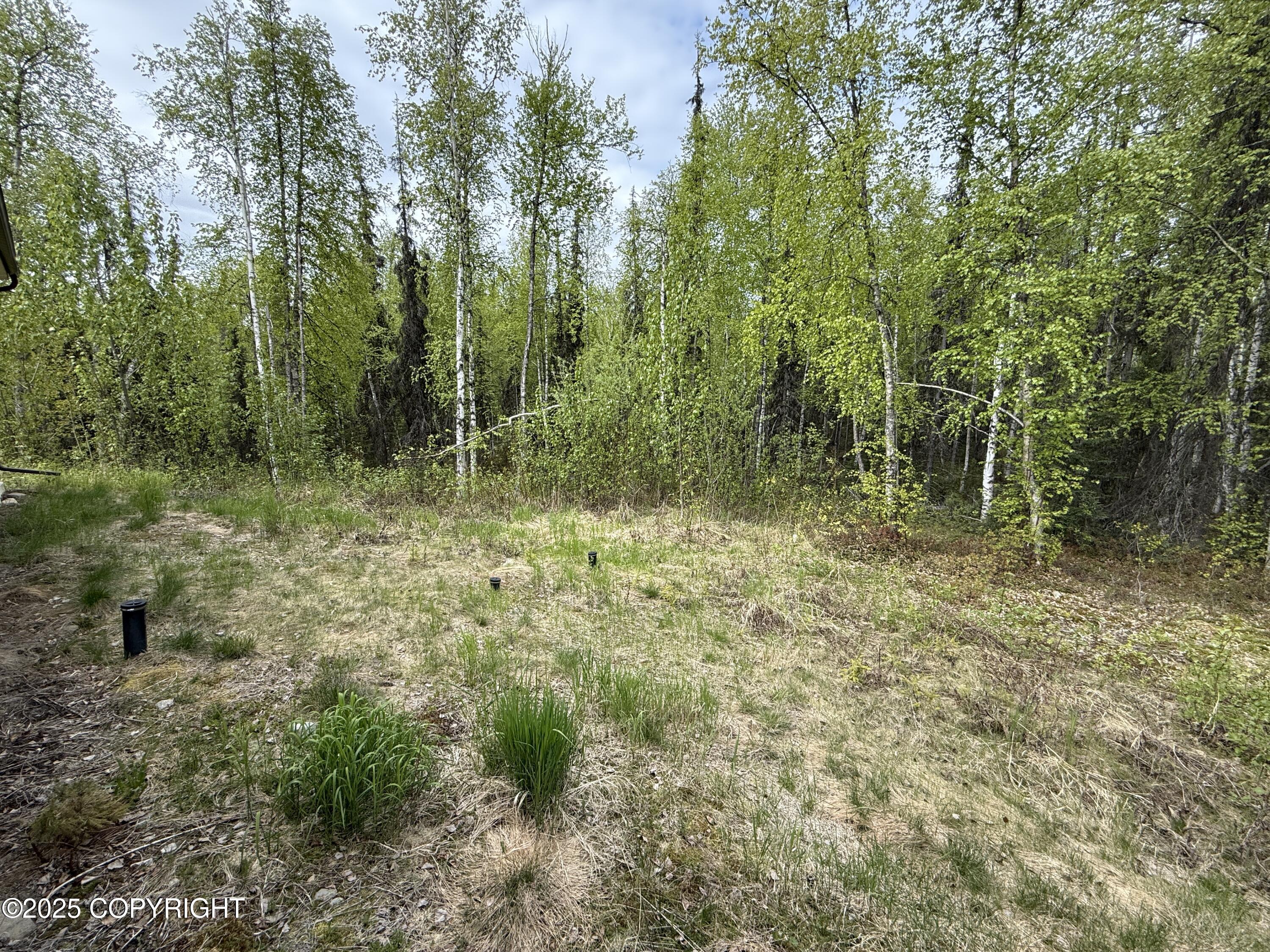 29022 W Parks Highway, Willow, Alaska image 50