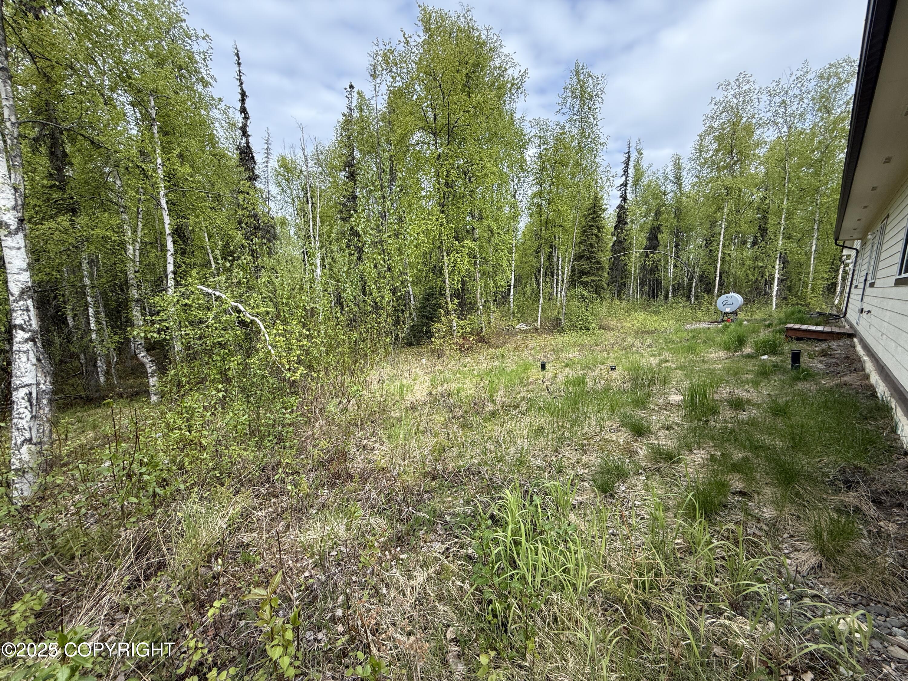 29022 W Parks Highway, Willow, Alaska image 48