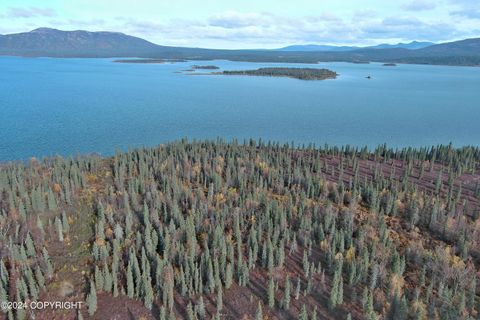 Vacant Land For Sale - L2B1 Grizzly Road<br/> Aleknagik, AK 99555