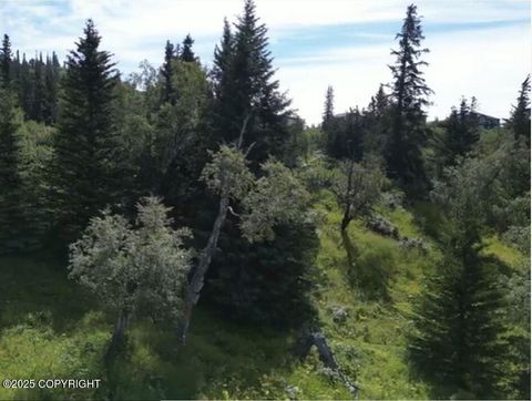 Vacant Land For Sale - L6 Panoramic Circle<br/> Anchorage, AK 99516