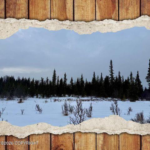 Vacant Land For Sale - 25645 Stinkbug Street<br/> Anchor Point, AK 99556