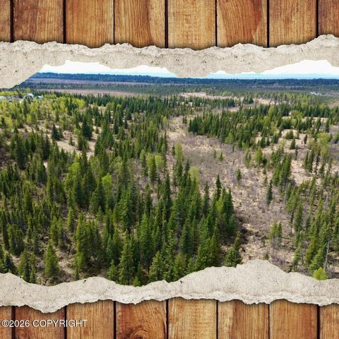 Vacant Land For Sale - 25645 Stinkbug Street<br/> Anchor Point, AK 99556