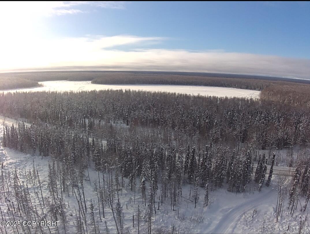 14617 N Crystal Lake Road, Willow, Alaska image 46