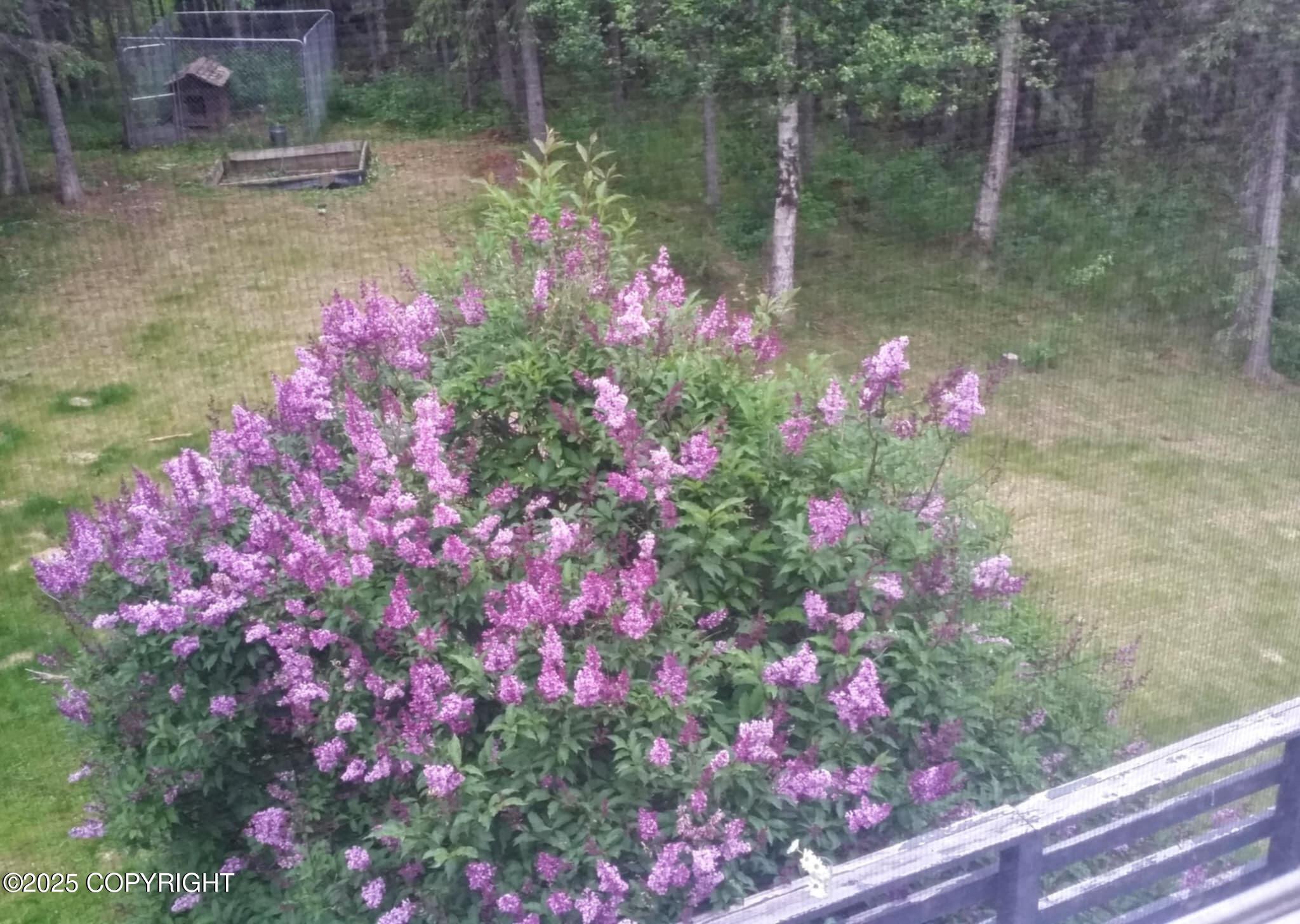 38625 Corey Street, Sterling, Alaska image 39