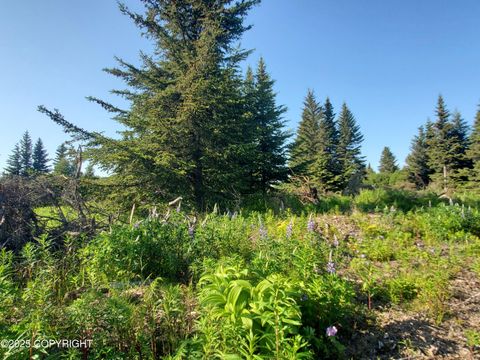 Vacant Land For Sale - 17589 Chefornak Street<br/> Ninilchik, AK 99639