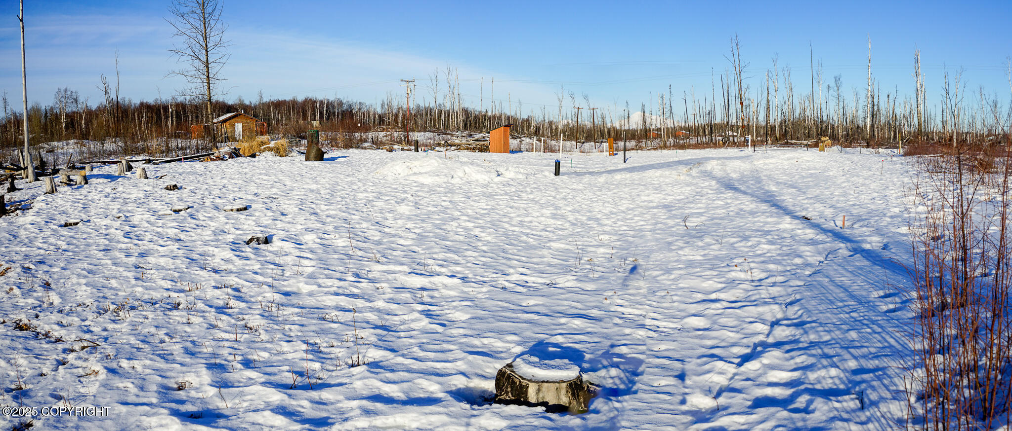 47912 S Merlin Drive #53, Willow, Alaska image 39