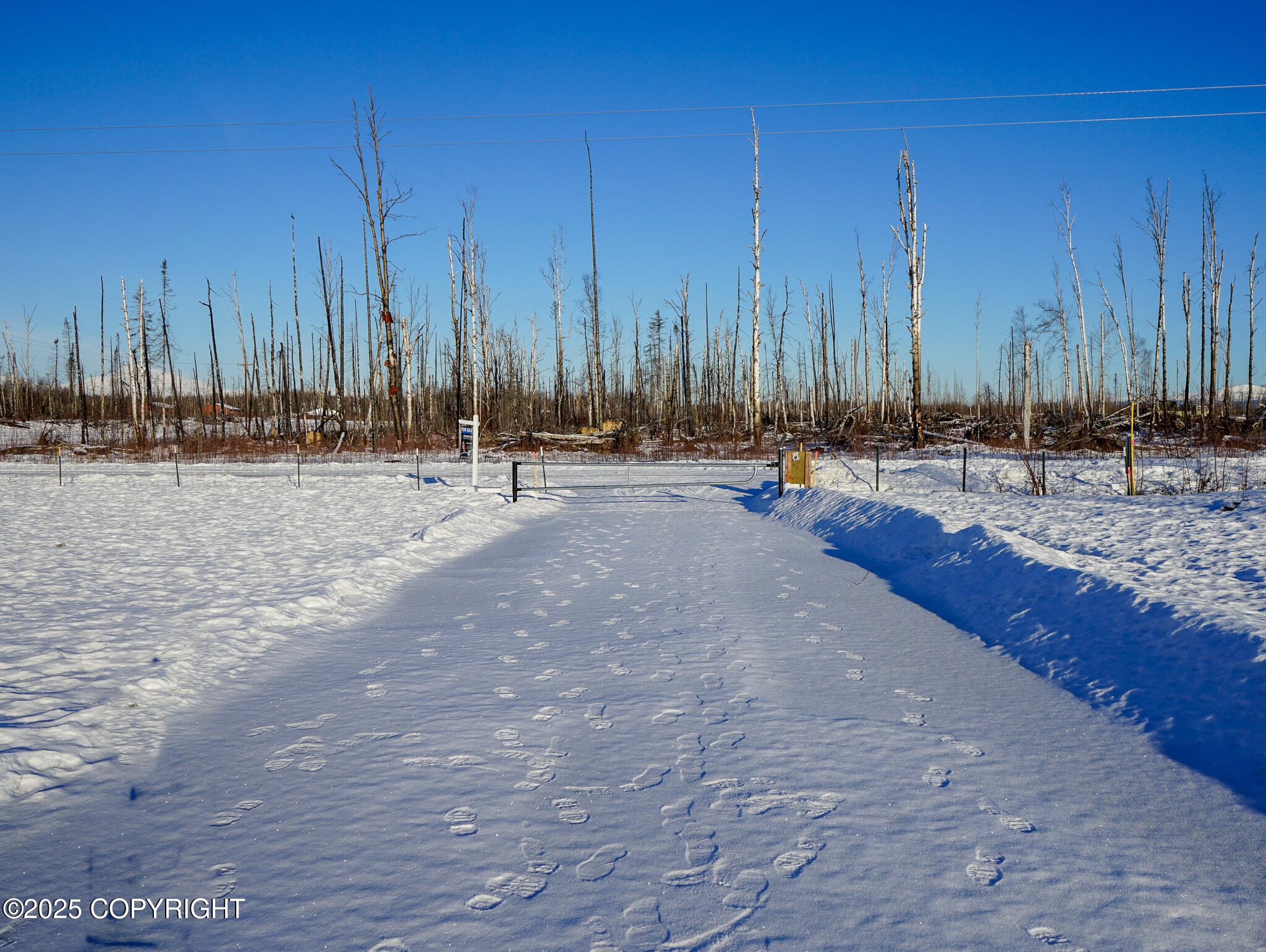 47912 S Merlin Drive #53, Willow, Alaska image 31