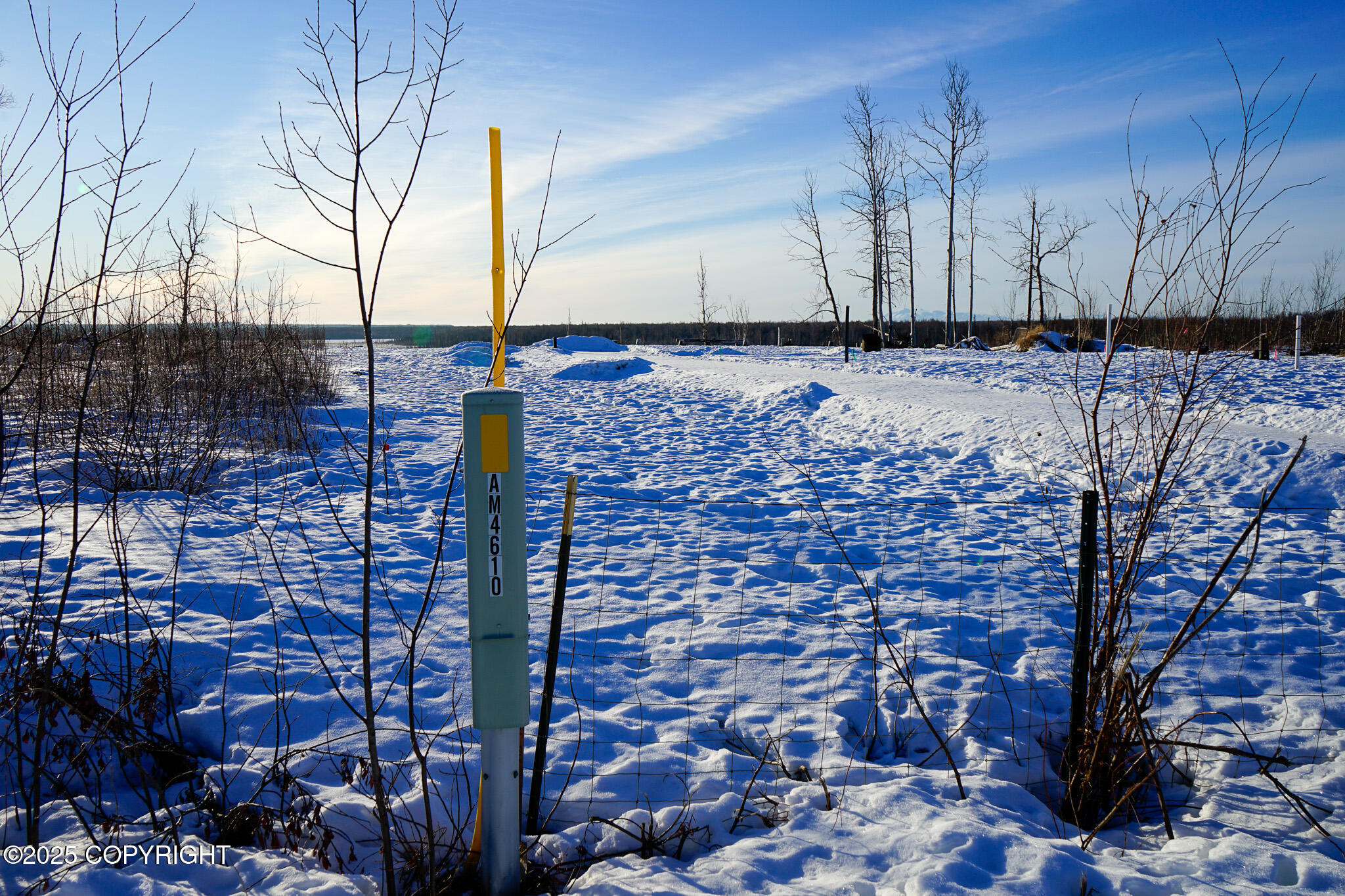 47912 S Merlin Drive #53, Willow, Alaska image 34