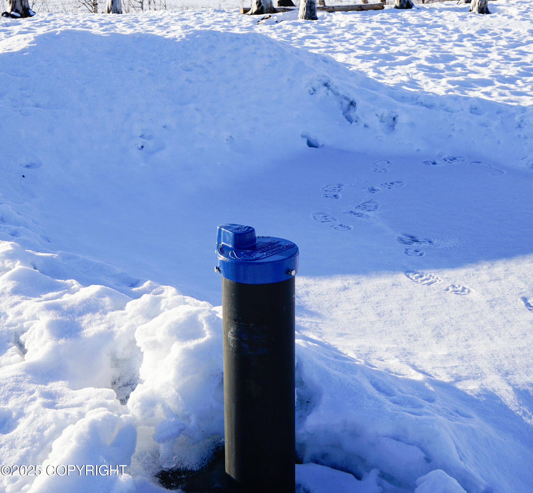 47912 S Merlin Drive #53, Willow, Alaska image 33