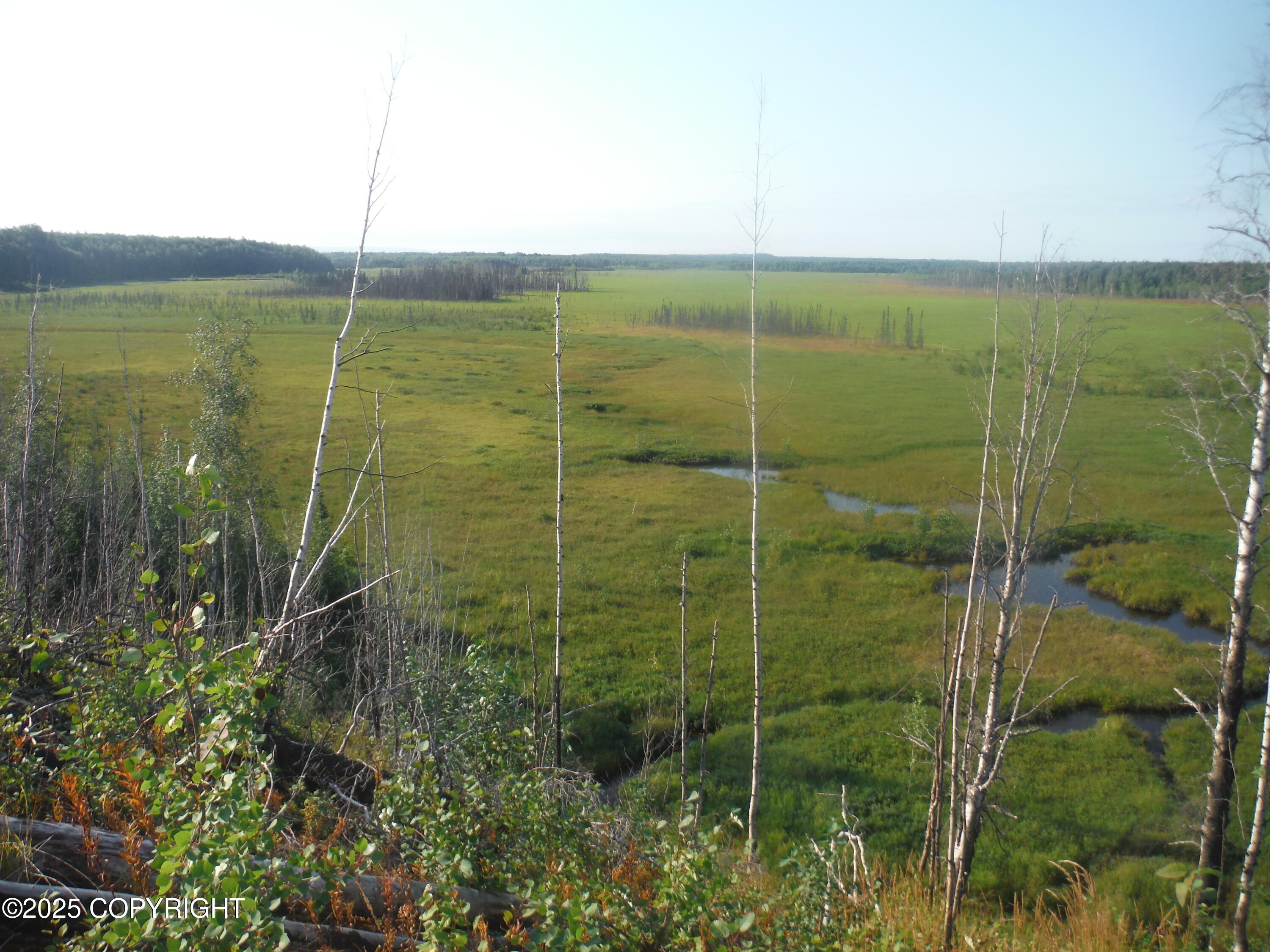 47912 S Merlin Drive #53, Willow, Alaska image 3