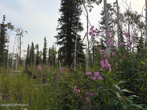 Vacant Land For Sale - LOT 15 Drucke Miller Road<br/> Tok, AK 99780
