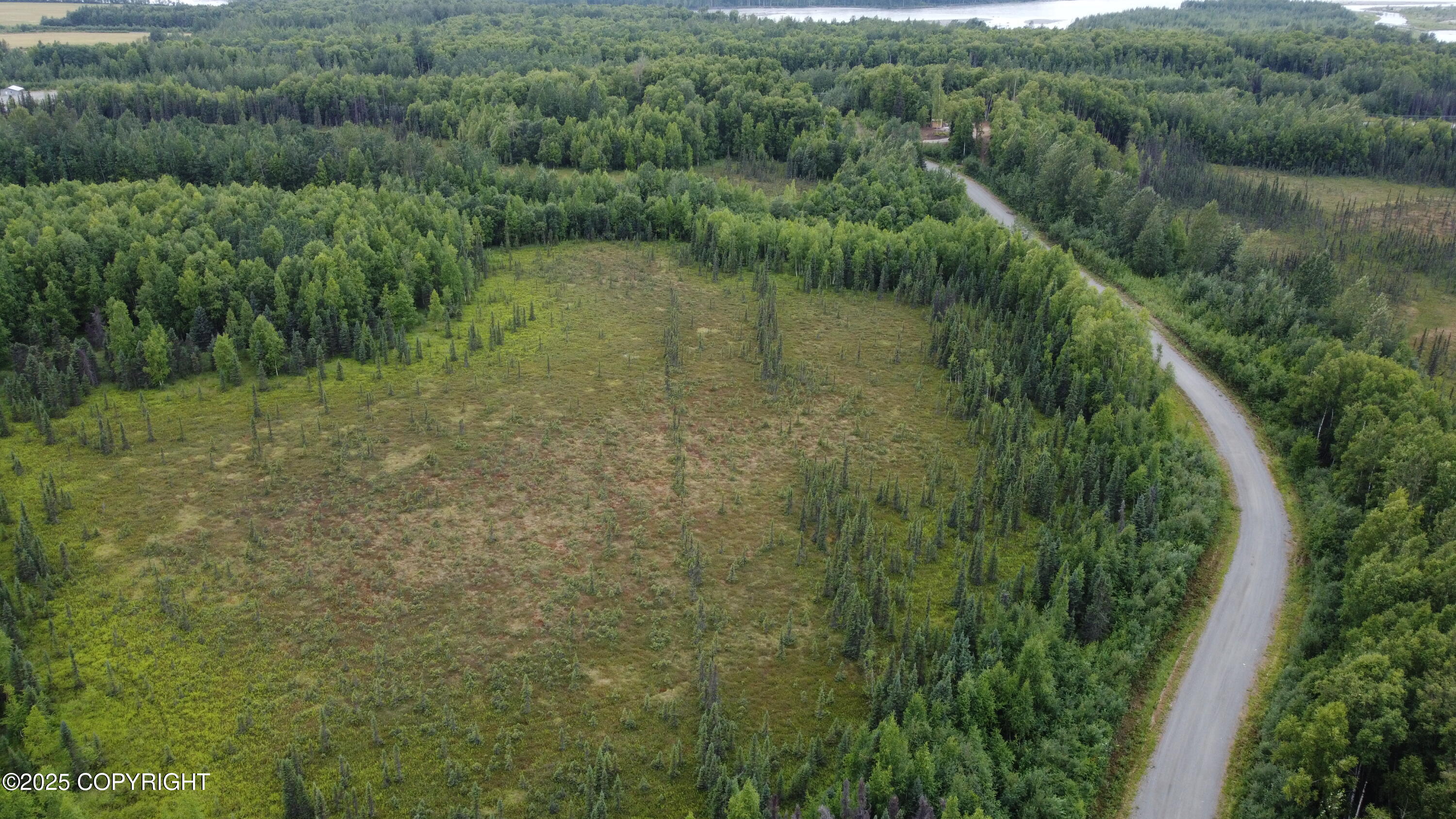 L2 B3 E Mount Snowshoe Drive, Talkeetna, Alaska image 3