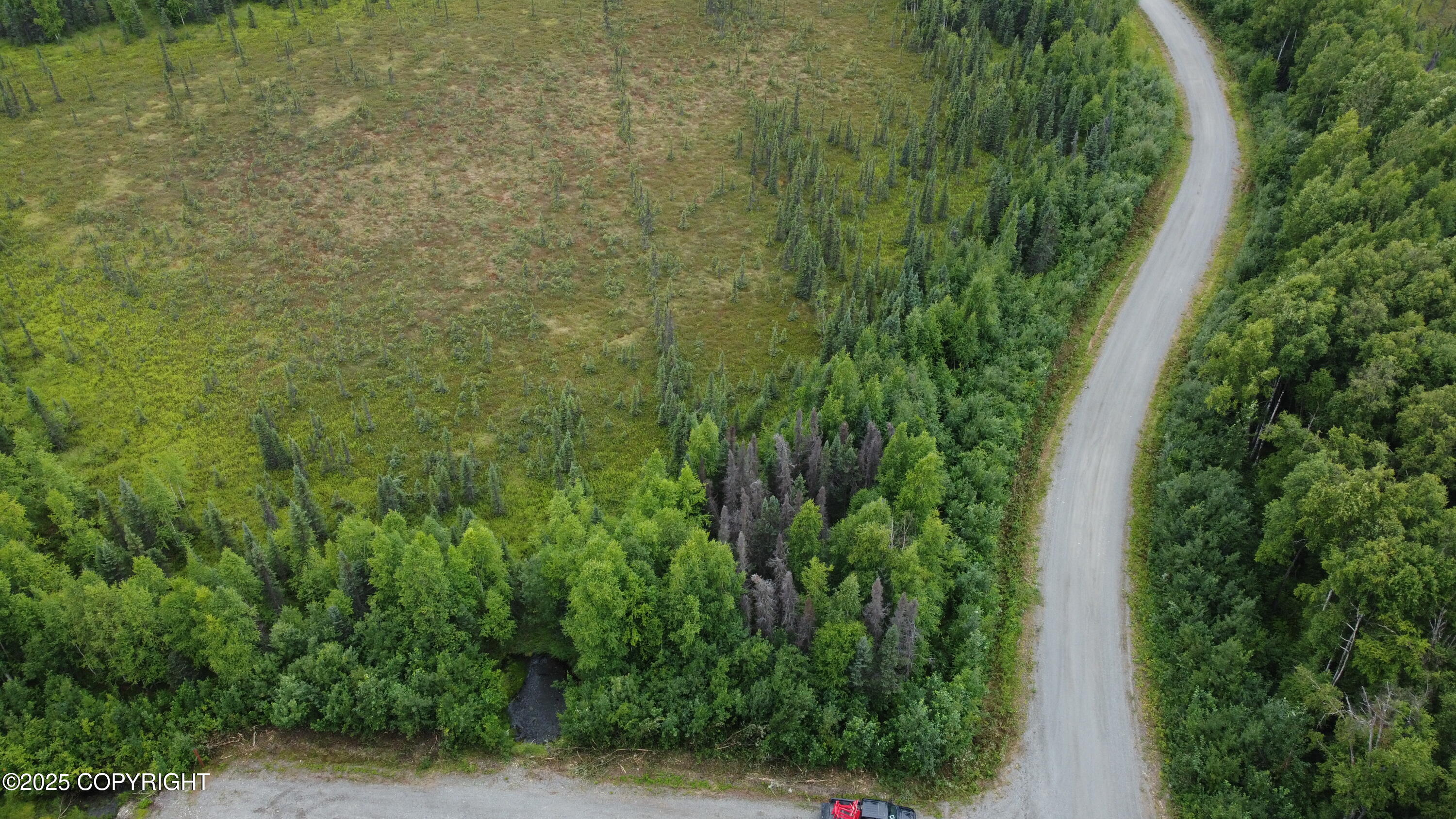 L2 B3 E Mount Snowshoe Drive, Talkeetna, Alaska image 4