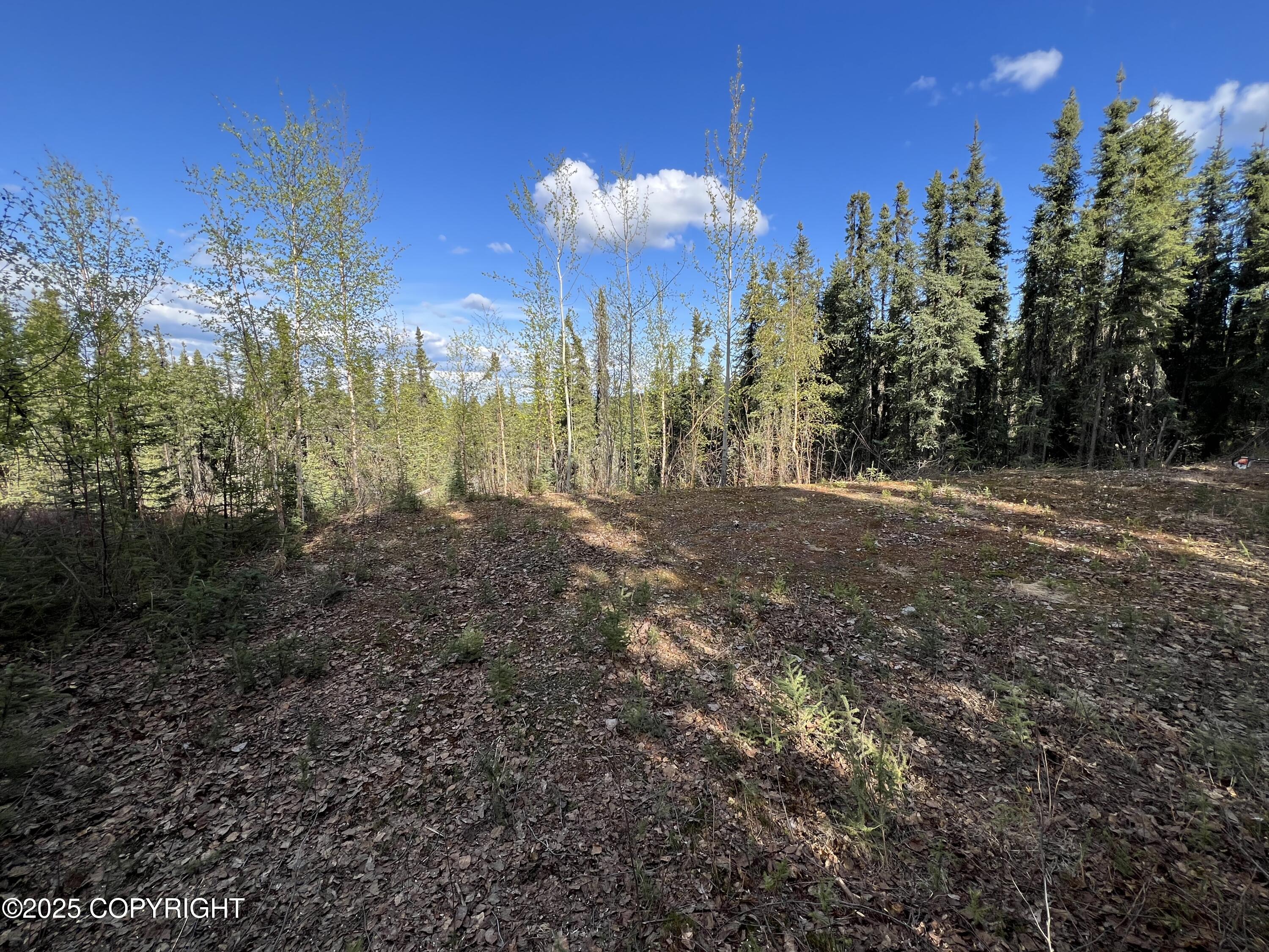 1390 Elaine Way, Fairbanks, Alaska image 2