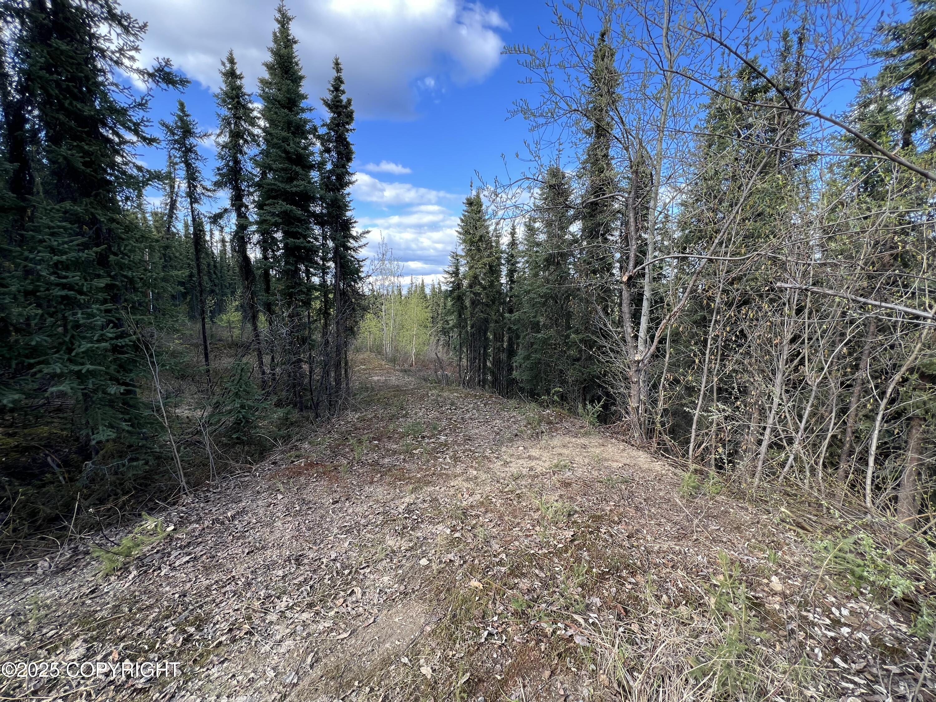 1390 Elaine Way, Fairbanks, Alaska image 5