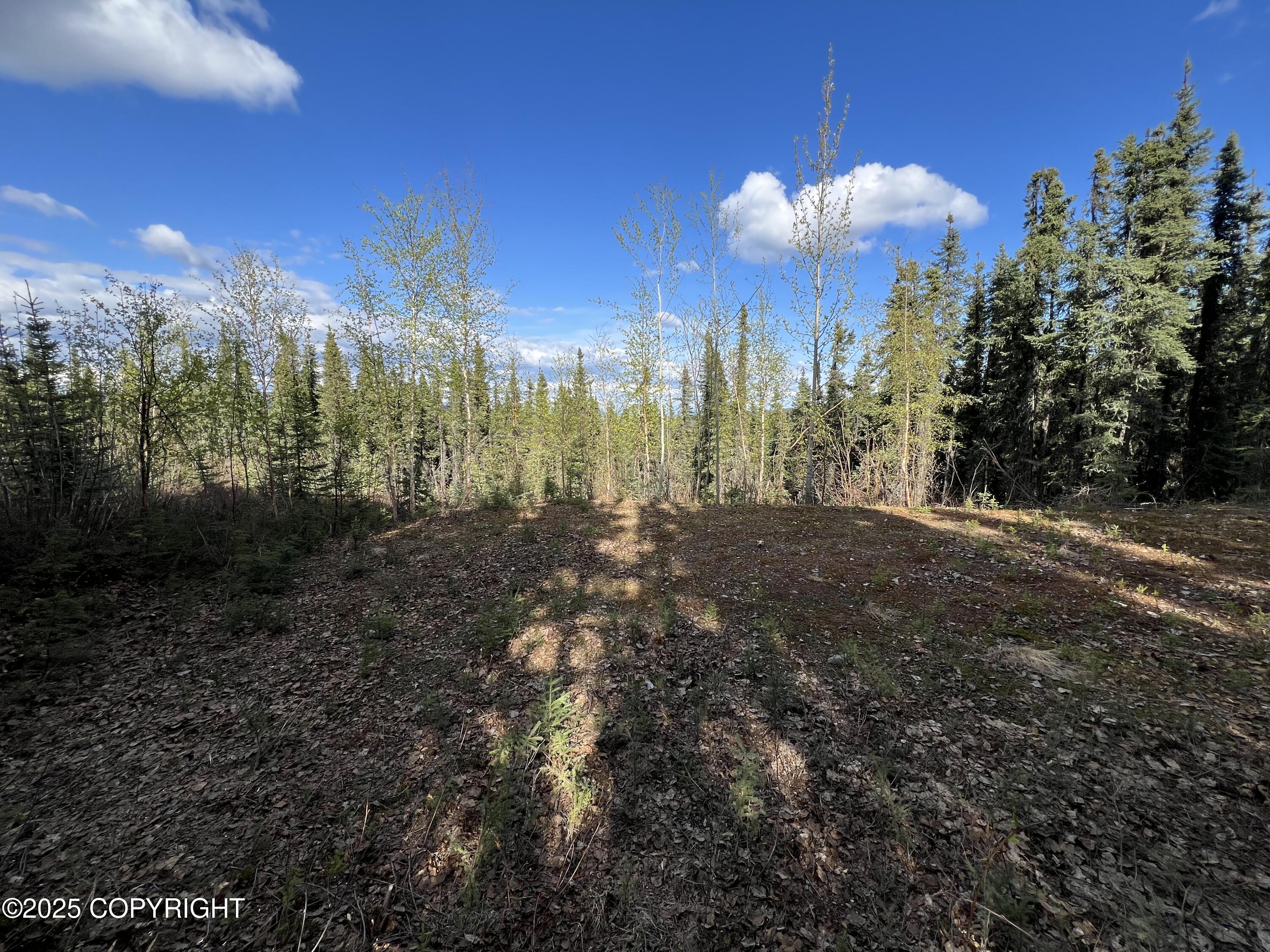 1390 Elaine Way, Fairbanks, Alaska image 3