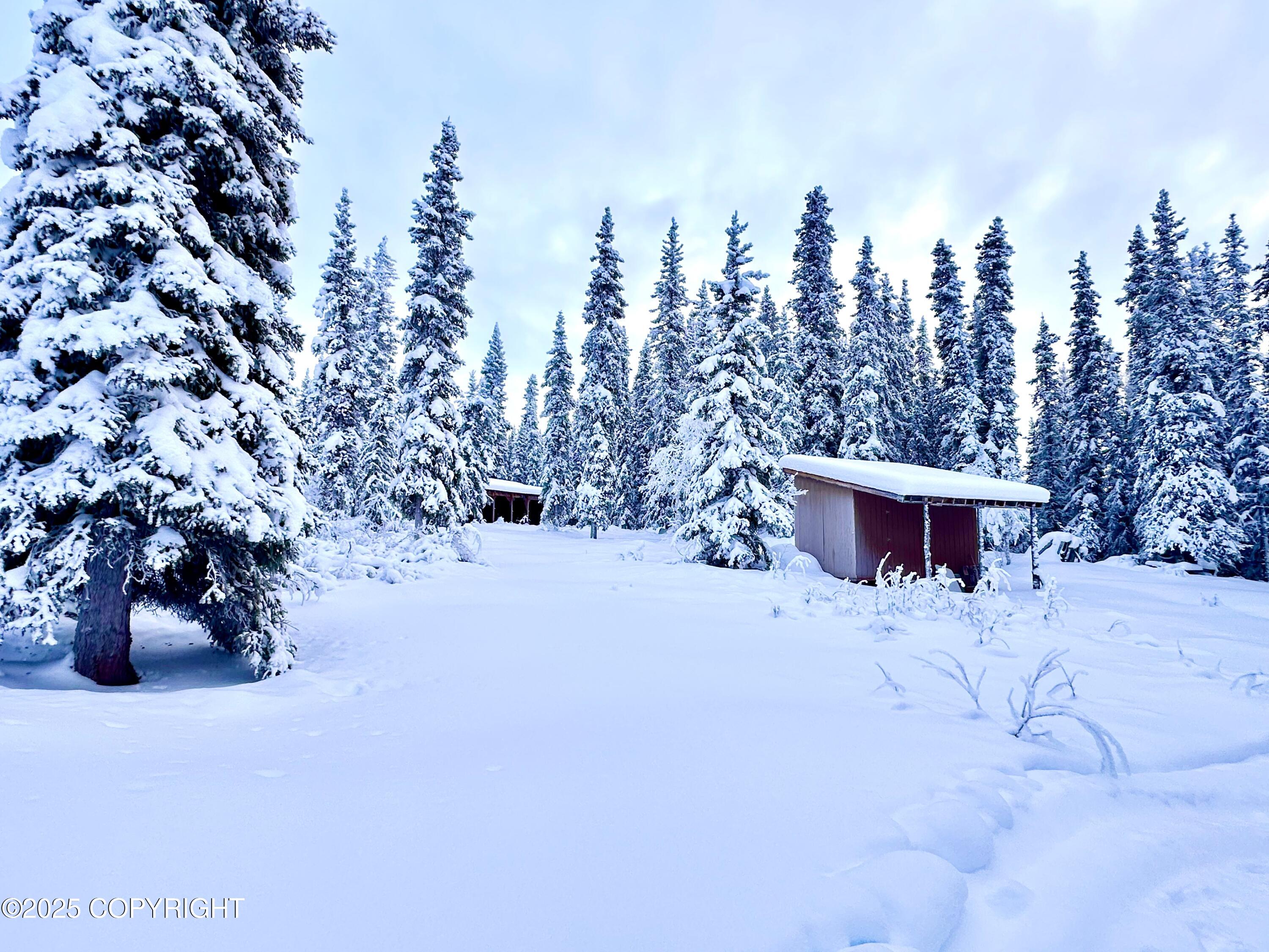 Tract F No Road Asls 87-88, Glennallen, Alaska image 49