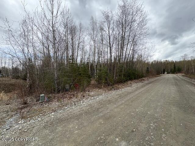 3341 S Medora Cross Street, Big Lake, Alaska image 3