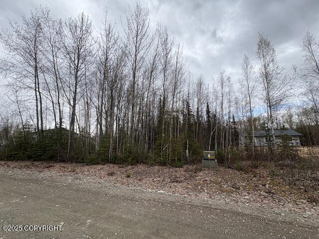 3341 S Medora Cross Street, Big Lake, Alaska image 1