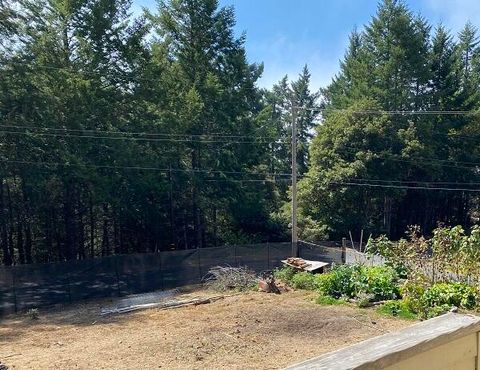 Photo of 5 Cinch Court, Whitethorn, CA 95589 (MLS # 271716)