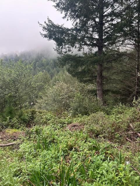 Photo of 225 Nob Hill Road, Shelter Cove, CA 95589 (MLS # 271820)