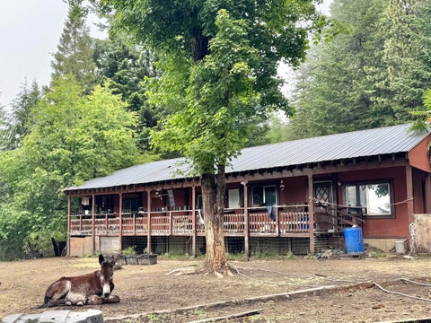 Photo of 12575 Buck Mountain Road, Bridgeville, CA 95526 (MLS # 273480)
