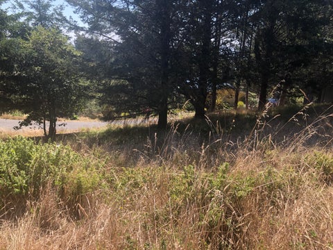 Photo of 42 Vista Road, Shelter Cove, CA 95589 (MLS # 273375)