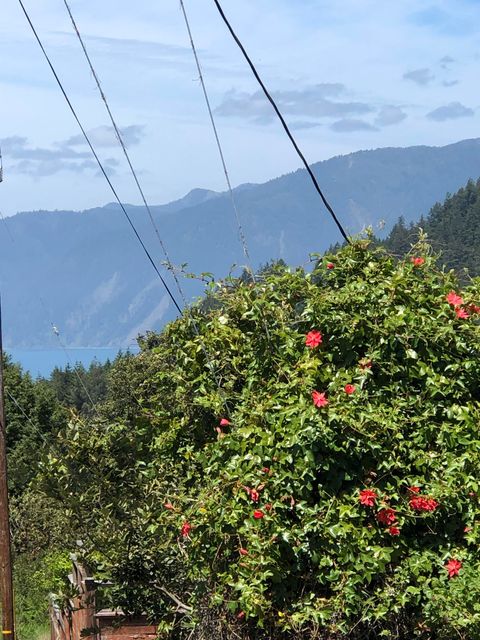 Photo of 529 Redwood Road, Whitethorn, CA 95589 (MLS # 271727)