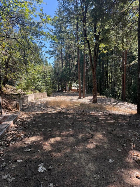 Photo of 361 Lake Forest Drive, Trinity Center, CA 96091 (MLS # 273260)