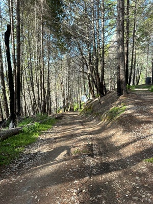 000 COON CREEK ROAD, WILLOW CREEK, CA 95573 - Image 167a1b23790da8d69d32e7e0948fbce1/1253473023