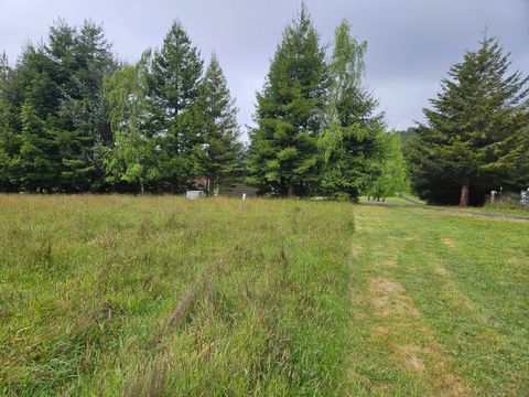 Photo of 106 Pampas Lane, Fortuna, CA 95540 (MLS # 271997)