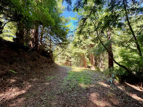 Photo of 150 Tanglewood Drive, Eureka, CA 95503 (MLS # 273077)