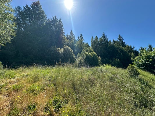 28100 ST HWY 299, BLUE LAKE, CA 95525 - Image 1bc00e342be82f1d49c001759498e921/792499103
