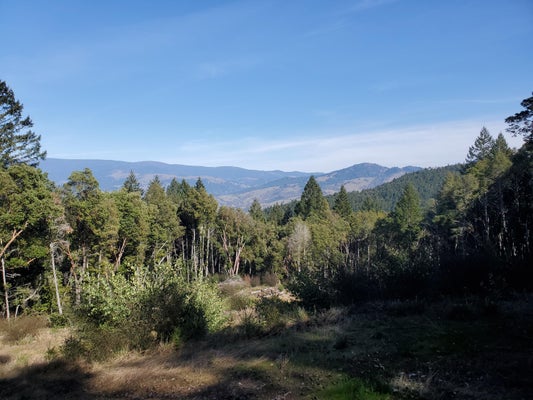 700 RANCHO SEQUOIA DR, ALDERPOINT, CA 95511 - Image 1dcebaef8ea2ca6b52643674bc113e99/1591201209