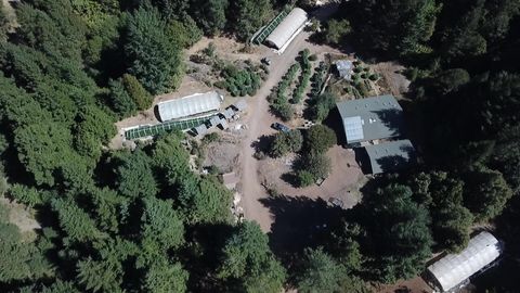 Photo of 2222 China Mine Road, Bridgeville, CA 95526 (MLS # 271637)