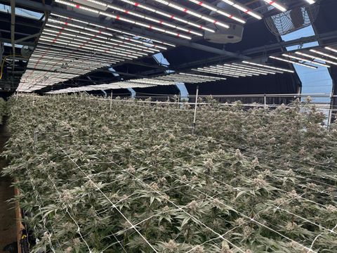 Photo of 1220 Glendale Drive, McKinleyville, CA 95519 (MLS # 271483)