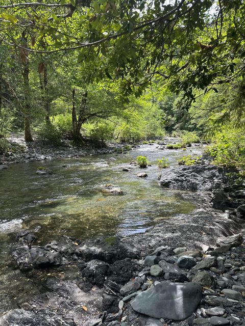 Photo of 328 Acres Saber Tooth Road, Blue Lake, CA 95525 (MLS # 272322)
