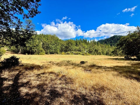 Photo of 925 Kingsbury Road, Hayfork, CA 96041 (MLS # 273592)