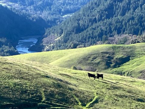 Photo of 123 Cemetery Road, Blocksburg, CA 95514 (MLS # 271509)