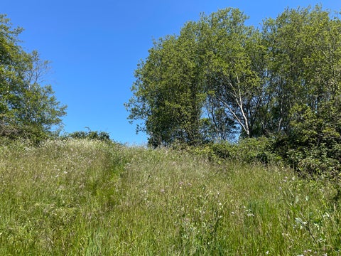 Photo of 3750 Spring Street, Eureka, CA 95503 (MLS # 273139)