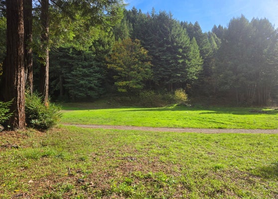 WILDER RD, CARLOTTA, CA 95528 - Image 49ea80907c73746c2fa3c06d967f669c/501421287