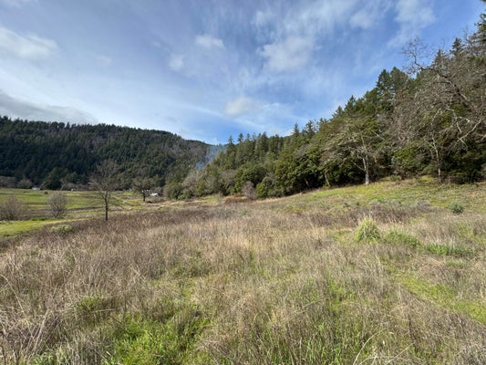 465 CHERRY TREE LN, SALYER, CA 95563 - Image 4a98525c8e70f7b3ccdb59e3f4feda26/3323903910