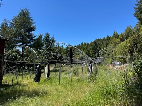 Photo of 30782 Ca-36 None, Bridgeville, CA 95526 (MLS # 272996)