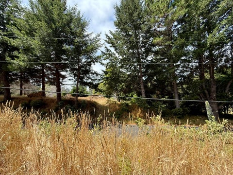 Photo of 117 Ridge Road, Whitethorn, CA 95589 (MLS # 273234)