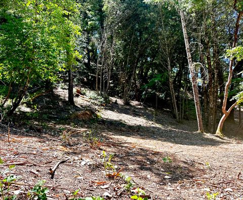 Photo of 775 & 801 Forest View Drive, Willow Creek, CA 95573 (MLS # 271831)