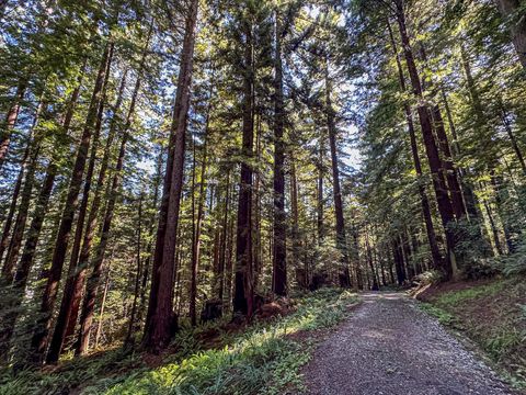 Photo of 205 Stream Street, Rio Dell, CA 95562 (MLS # 271802)