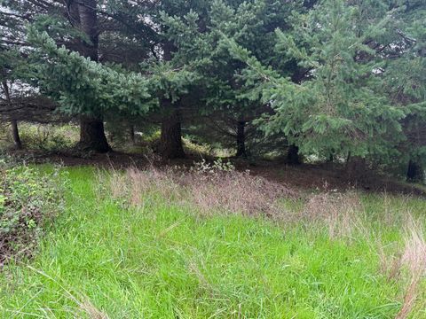 Photo of 95 Vista Road, Shelter Cove, CA 95589 (MLS # 271738)