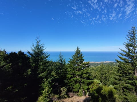 Photo of 1805 Toth Road, Shelter Cove, CA 95589 (MLS # 273560)