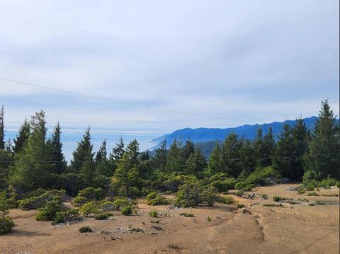 Photo of 55 Pepperwood Drive, Whitethorn, CA 95589 (MLS # 271833)