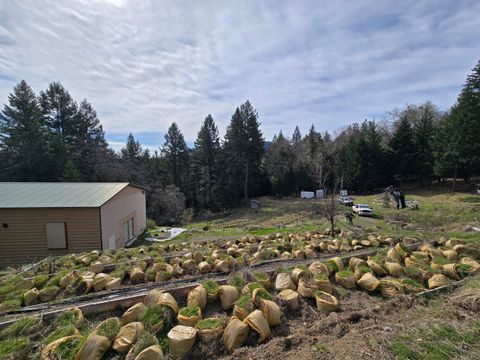 495 Wool Mt. Road, Zenia, CA 95595 - MLS#: 269106
